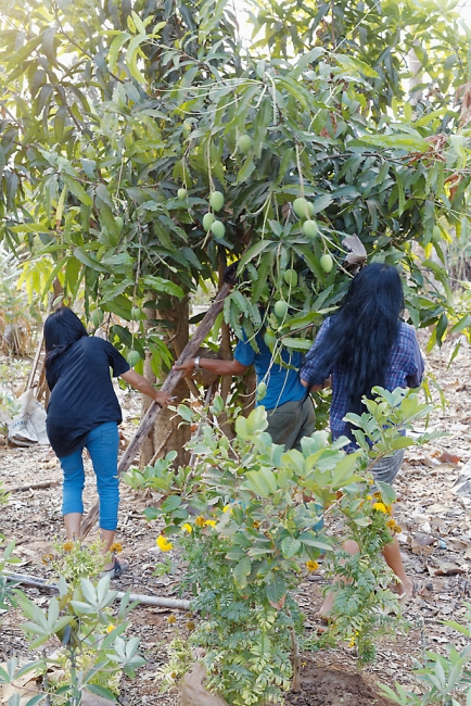 Famille et amis-MAR18-018